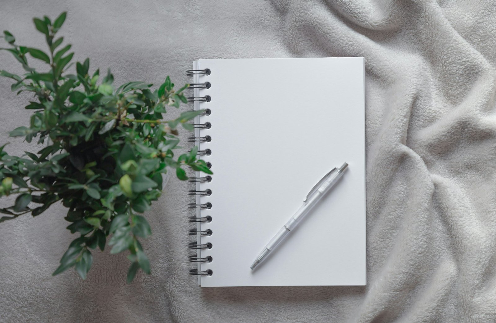 Cuaderno en blanco y bolígrafo junto a una planta